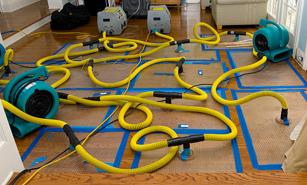 Professional Emergency Water Removal technician working in Teec Nos Pos, AZ